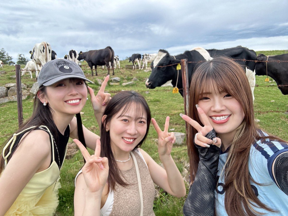 3uryn's tweet photo. コロポックルヒュッヒュッ美ヶ原 https://t.co/Jl4vNJI7or