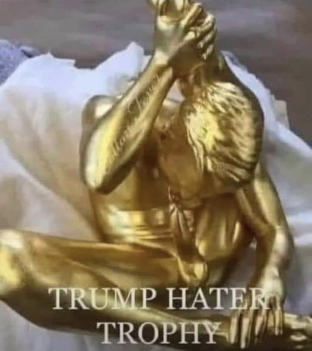 BDemonrats's tweet photo. @LIBERALAF4EVER @435mafia @mehdirhasan Please allow me to congratulate you for receiving this well deserved award. Bravo! https://t.co/270rXthe9t