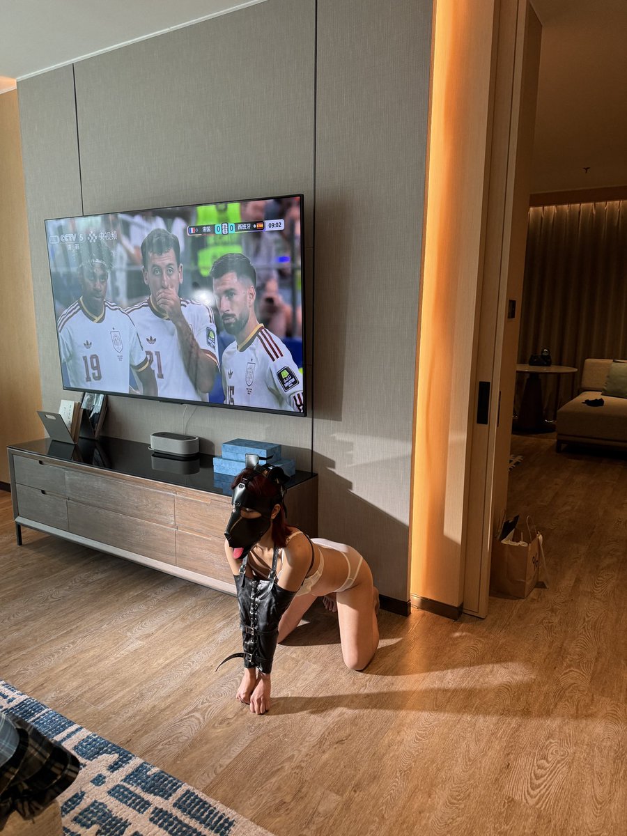 vivi16899's tweet photo. 🐕⚽
@vivi99168 https://t.co/sUKYEZPecg