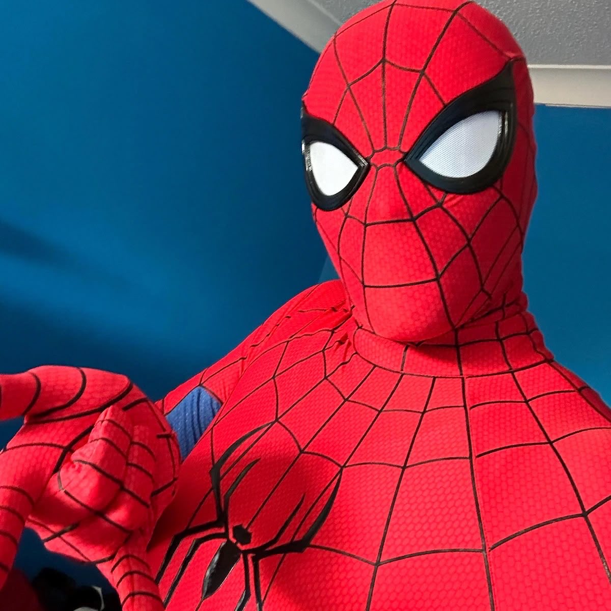 LuisAlbert64882's tweet photo. @Cinemex ya listísimo para Brand New Day 🕷️🕸️ https://t.co/WVZI1g5tQL