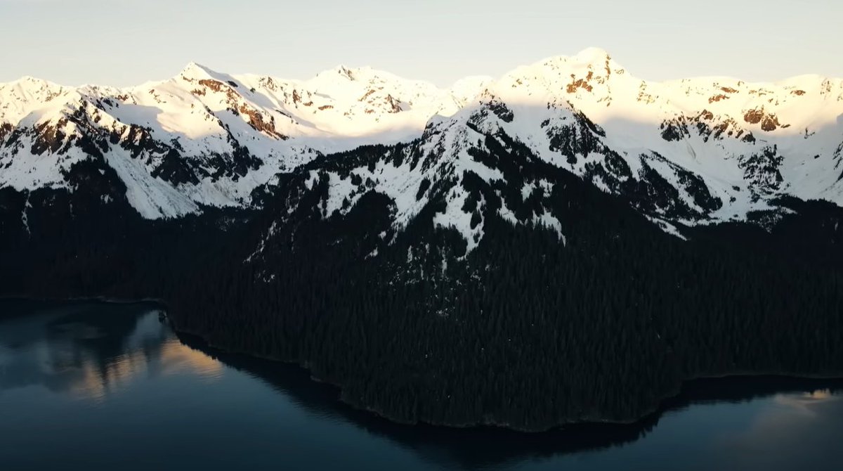 Terror_Films's tweet photo. The Bigfoot Archives explores chilling Alaskan encounters with massive, intelligent Sasquatches in THE ALASKAN SASQUATCH REVEALED!

Available now on @Tubi and more!

TUBI: https://t.co/jCb36cwBJ8 https://t.co/Qd7Zv7Aq1Y