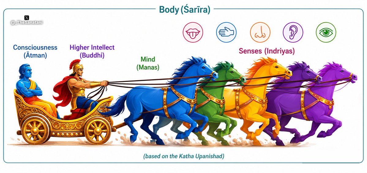 _TheSanatani's tweet photo. The Chariot That Explains the Entire Human Mind (Kaṭha Upanishad)… 😱

In the Kaṭha Upanishad, Yama teaches Nachiketa one of the most profound models of human psychology ever described... the Chariot Analogy. In just a few verses, it explains the relationship between the body, mind, intellect, senses, and the Self.

> The body is the chariot. The Ātman is the master of the chariot. The intellect (Buddhi) is the charioteer, while the mind (Manas) serves as the reins that guide the journey.

> The senses are the horses, constantly pulling toward their respective objects. The roads they travel are the objects of the senses... the sights, sounds, tastes, touches, and smells of the world.

> If the intellect lacks discrimination and the mind fails to control the senses, the horses run wild. The individual becomes driven by impulse, desire, and distraction, losing sight of the true destination.

> But when the intellect is wise, the mind is steady, and the senses are disciplined, the journey remains under control. The chariot reaches its highest goal... the realization of the Self.

> The Kaṭha Upanishad teaches that liberation does not depend on suppressing the senses. It depends on placing every part of the inner instrument under the guidance of wisdom.

The problem is not the horses... It is whether the charioteer is awake.

👉 Follow @_TheSanatani for more timeless wisdom of Sanatana Dharma.

👉 Join me on Telegram for all the Archives: https://t.co/NIElWWJflO