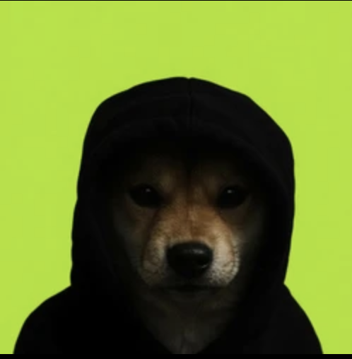 jizz0nme's tweet photo. everyone's calling Robinhood Chain "dead" because they're comparing it to Solana.

underdogs have the best risk/reward. https://t.co/Hb6HBK73gu
