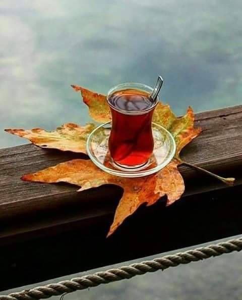 sat15f's tweet photo. نحب بدون سبب، لكن دائماً نكره عن اقتناع ..

من يتفق معي؟؟؟ https://t.co/VrmAyFxsXX