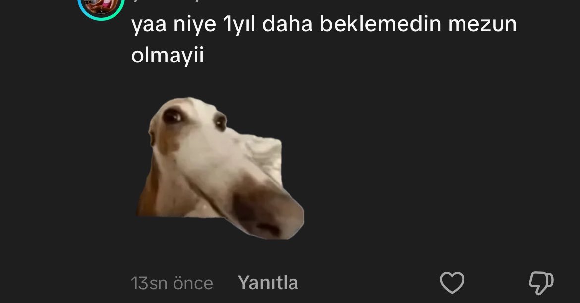 leosmoi's tweet photo. bizi ilgilendirmez ama bilmemiz lazım MWODMWPDKWPKDWPDKPWKDOWKDPWLDLWLD https://t.co/cOmwsRLd7Z