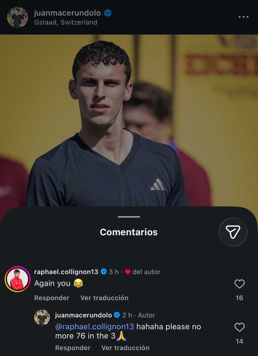 delfi 🐬 tweet media