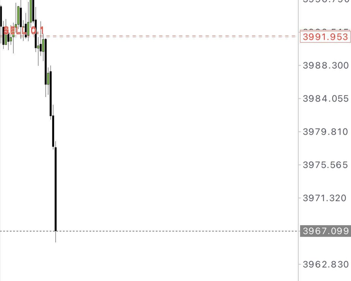 royal_33685's tweet photo. ⚔️ Every candle is information.
Every decision is responsibility. 📊
👉 https://t.co/EDsMBOw4xW
#ForexTrading #Trading #XAUUSD #Trader #Success https://t.co/rubAzxFIxh