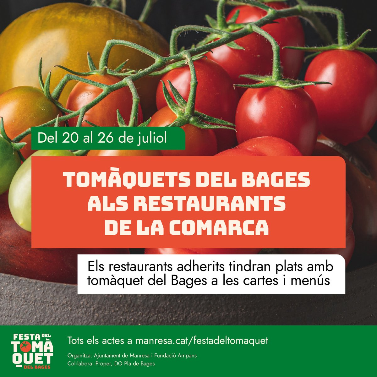 festatomaquet's tweet photo. 🍅 De l'hort al plat.  Una oportunitat per descobrir com un mateix producte pot transformar-se en propostes sorprenents, creatives i delicioses.
El millor tomàquet del món també es mereix els millors fogons!
 #FestaDelTomàquet2026 # https://t.co/aYGgDgiuuj
