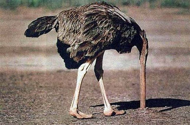SaltyGoat17's tweet photo. Photographer catches a rare glimpse of Democrats and the media when evidence of election fraud shows up... https://t.co/eLVkFWROEE
