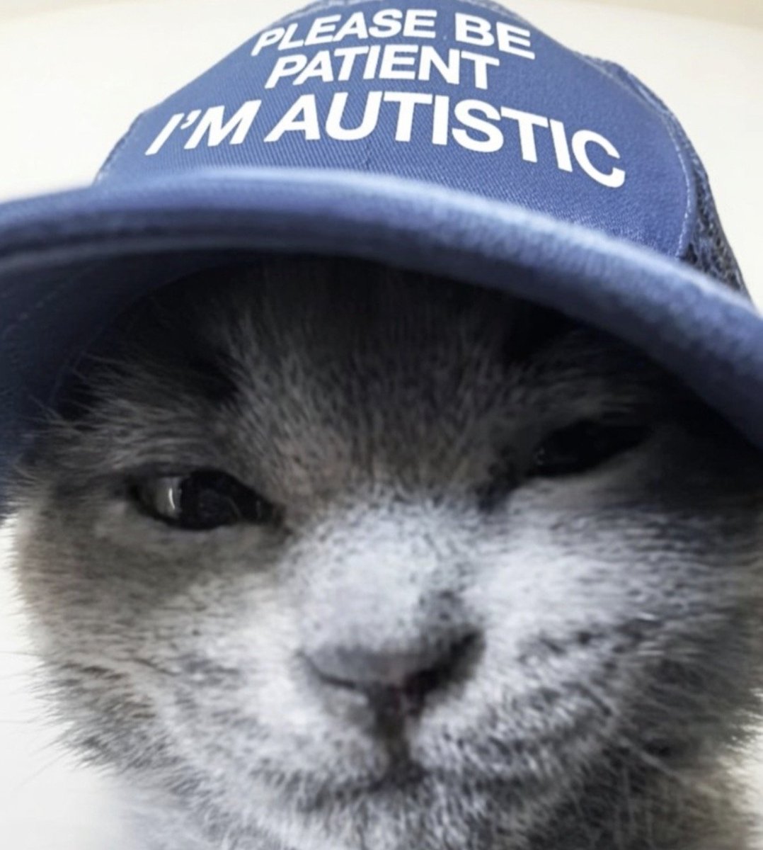 Autist_RH's tweet photo. Autist Check https://t.co/foiIQxO6xP