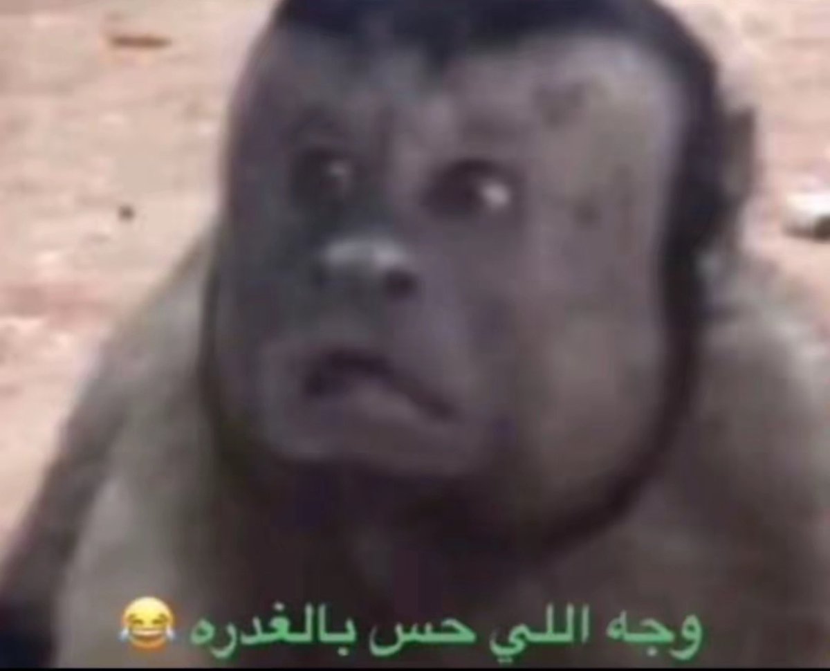 NajmChams's tweet photo. وجهه يوم درا انه يعرف عربي https://t.co/37ujVouBgQ