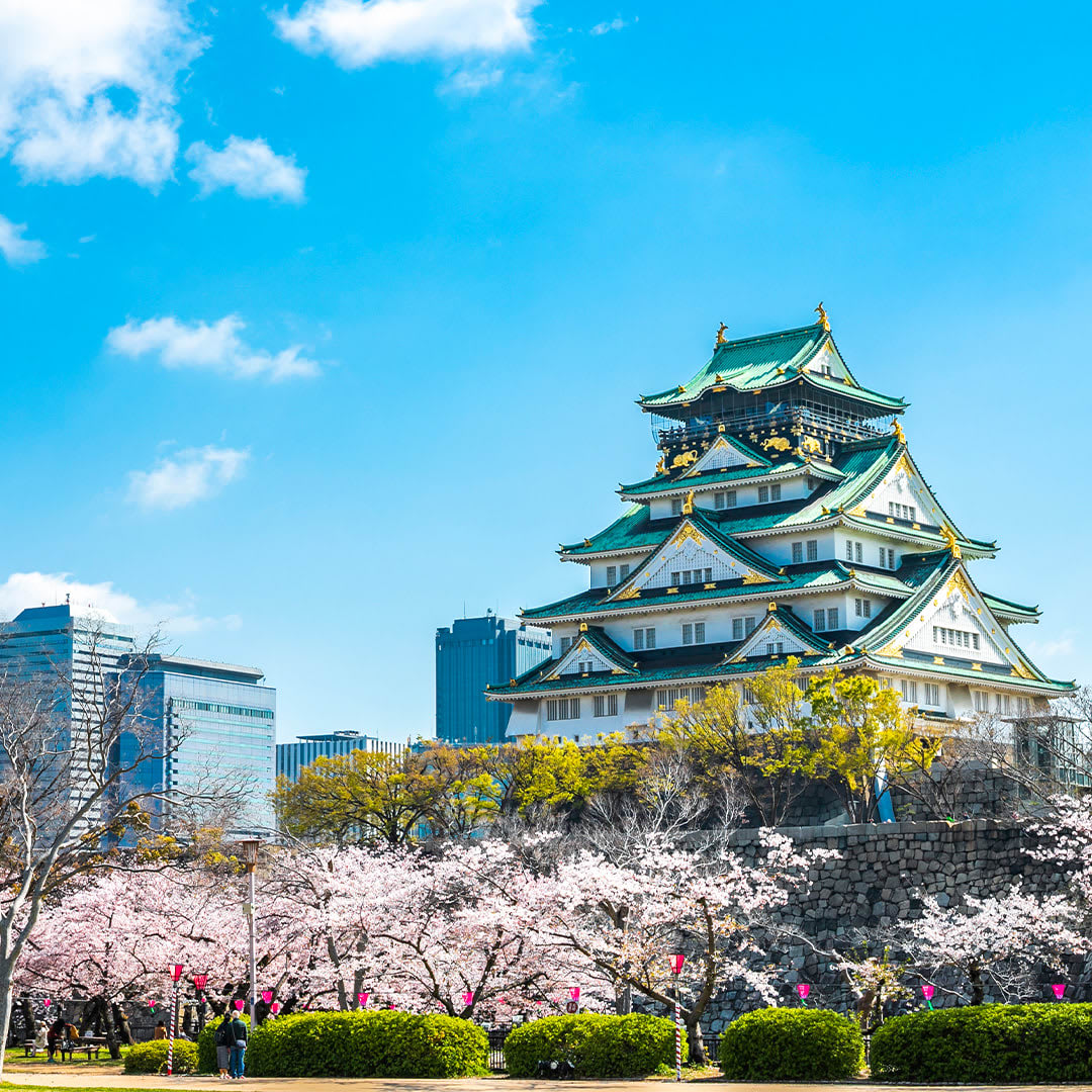 vacations45778's tweet photo. Osaka earns its reputation as Japan's food capital with Michelin-recognized restaurants, legendary street food, and neon-lit Dotonbori nights. 🍣🏙️ Your Japanese escape starts here! (832) 893-7142 https://t.co/6onXCEQ8pI