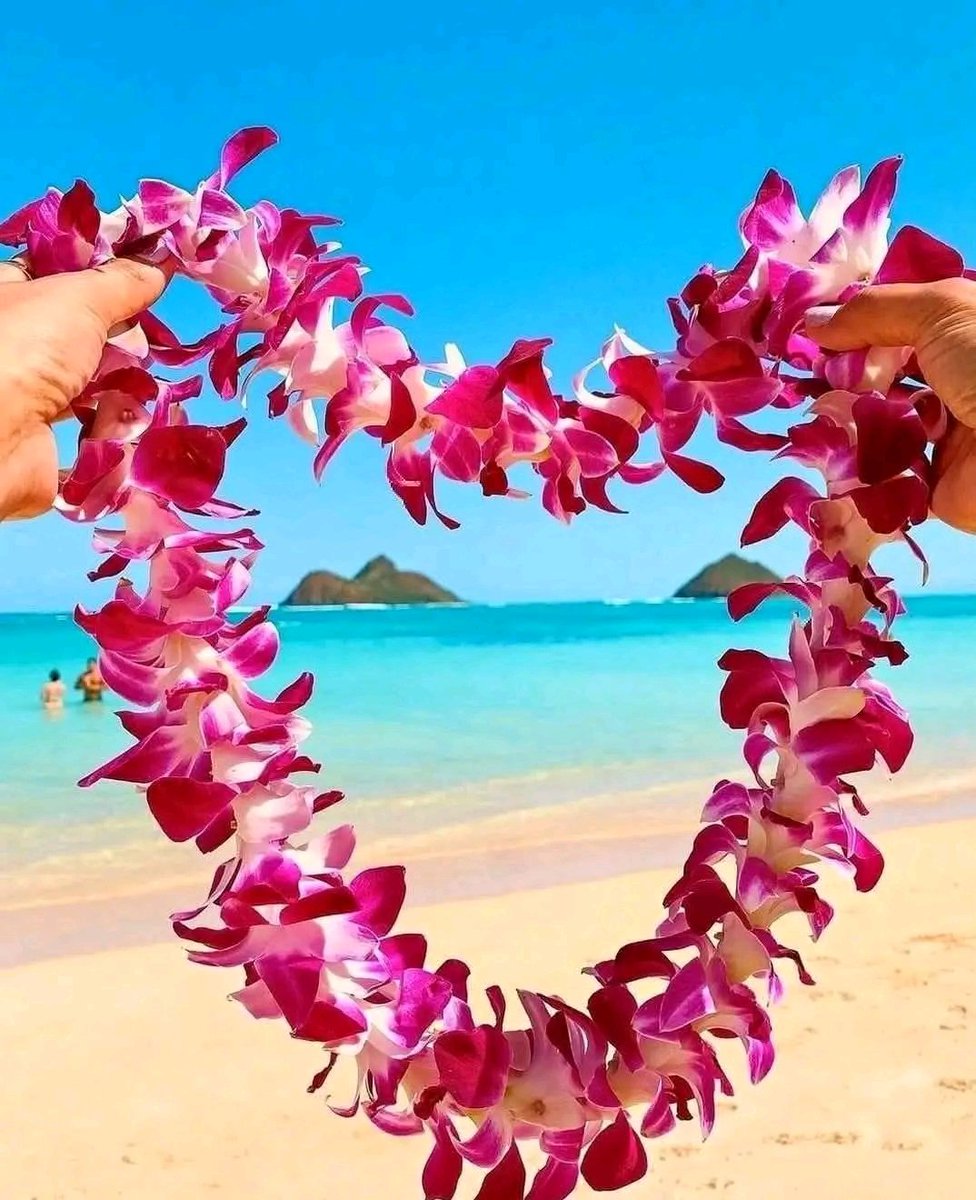 jon5_susam's tweet photo. @Micheal67778 The beautiful islands of Hawaii Aloha https://t.co/zxVlixOgG1