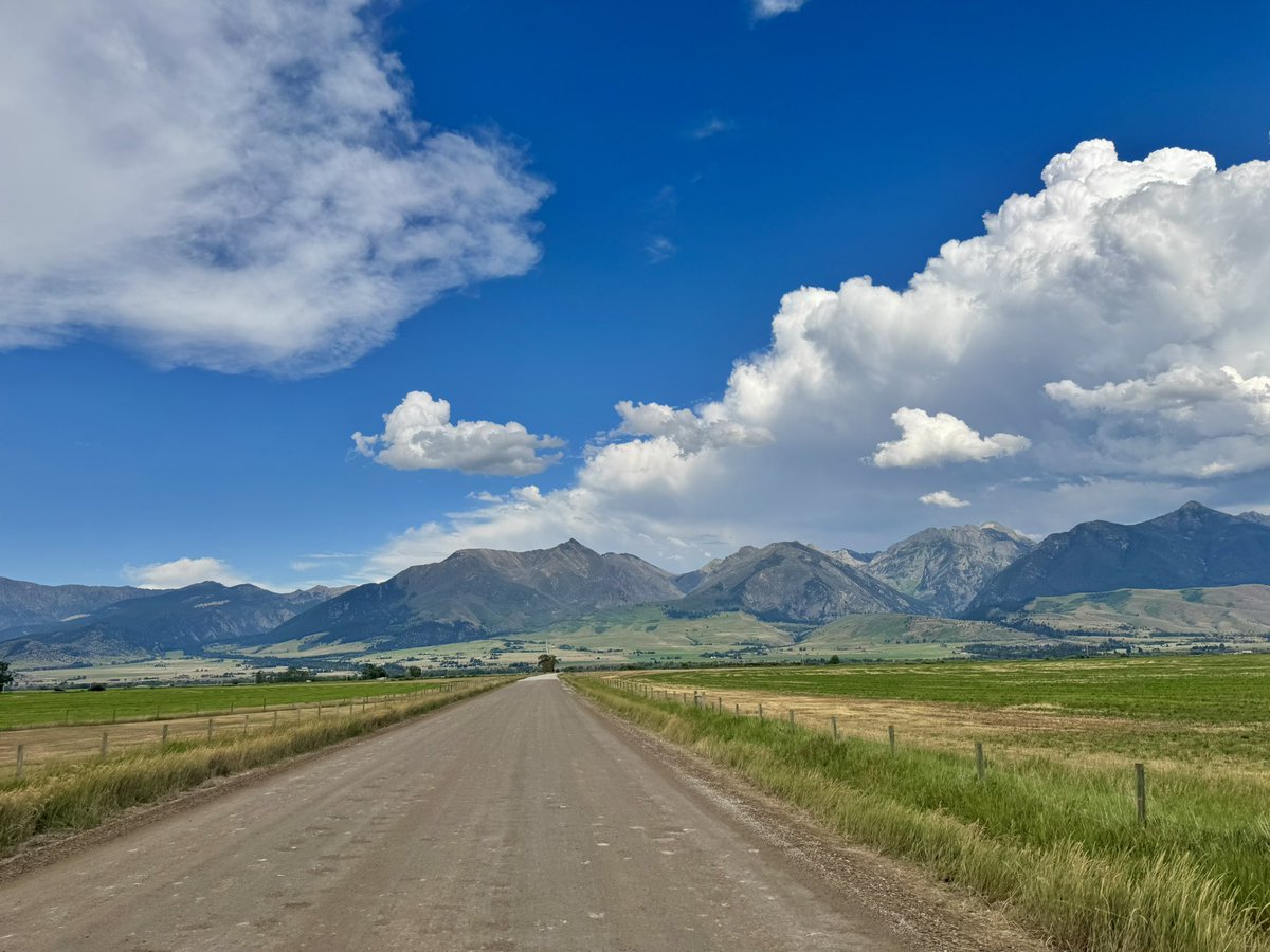 bisontattooguy's tweet photo. Today’s pics from my dirt road drive in my Montana county. https://t.co/GsEklpOU91