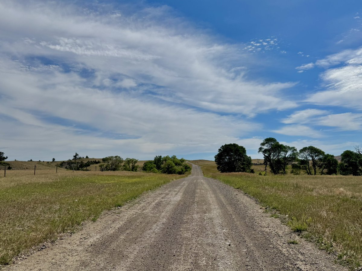bisontattooguy's tweet photo. Today’s pics from my dirt road drive in my Montana county. https://t.co/GsEklpOU91