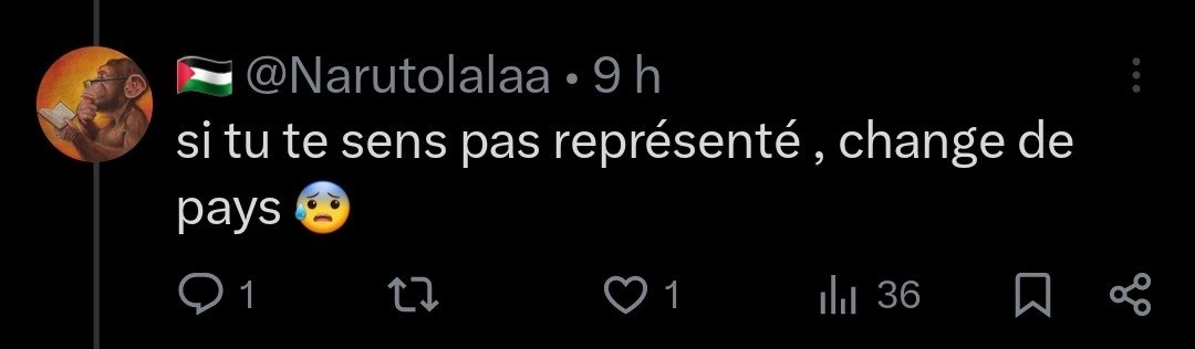 Archinfo17's tweet photo. @ThaisEscufon Le gars qui a une opinion sur la France met une photo de profil avec un singe et le drapeau palestinien, mais est fier de l'équipe de foot française. Ça se passe d'explication. Déchéance totale dans le pays où mes ancêtres avaient un château. https://t.co/jVpqTtR3Aj