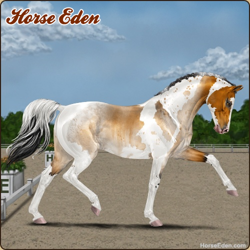 HorseEdenGame's tweet photo. Today's featured Game Horse! Breed your dream horse! Play for free today!
#horse #horses #horsegame #horseeden #animals #simgame #petsim #petgame #animalgame #horseshow #gameart #horseart #angloarabian #arabianhorse #tobiano #sabino #dressage #showjumping #eventing #art #game https://t.co/STNiut4D6B