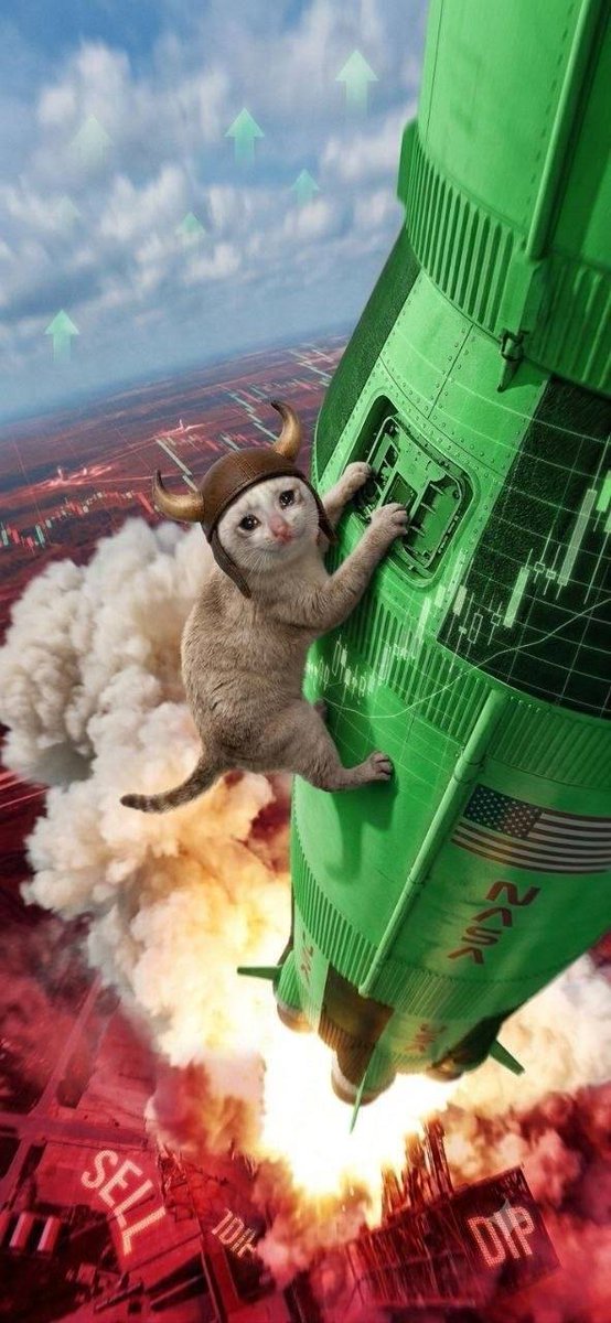 MegaLordX___'s tweet photo. Community is the heartbeat of every successful meme coin, and $BULLCAT seems focused on building exactly that. 

The unique bull-cat theme gives holders something fun to identify with, while the transparent tokenomics help build confidence from the start.

@TheBULLCATTTT https://t.co/v19JLRVy6M