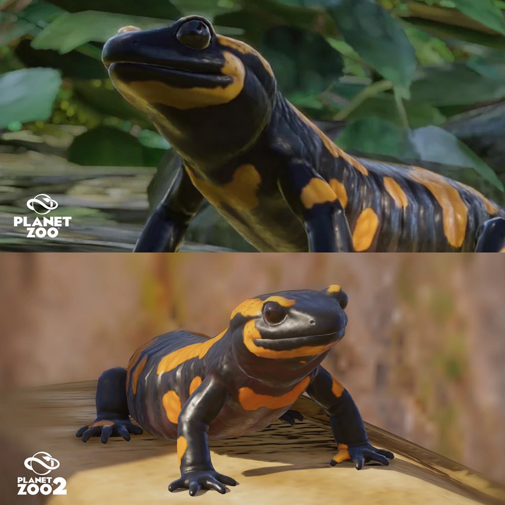 jensagameplayer's tweet photo. Planet Zoo 1 - Planet Zoo 2 : FIRE SALAMANDER
#Planetzoo2 #Planetzoo https://t.co/EVs6zlNmo3