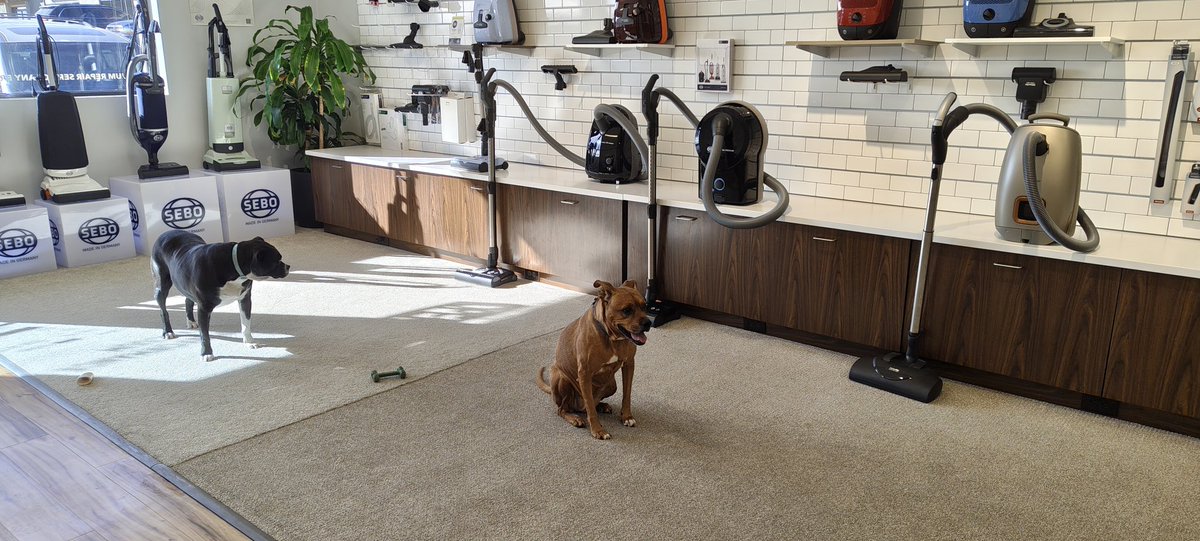 PerformanceVac's tweet photo. It's how outside. Keep clean inside with one of our vacuum cleaners. 

#sebo #denvercolorado #Colorado #denver #vacuumcleaner https://t.co/QZFwlLQrWe