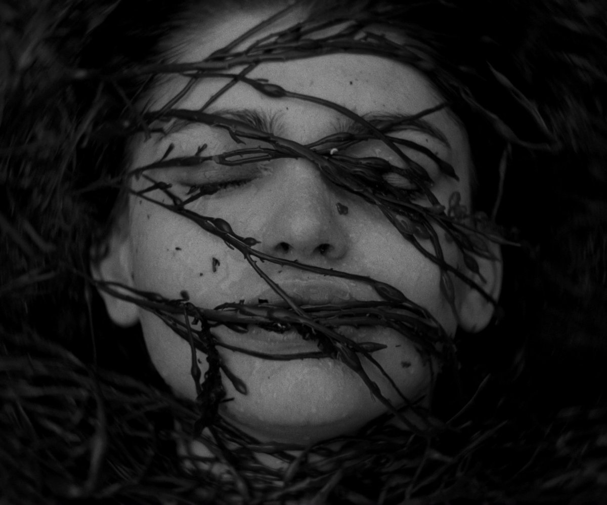 HauntedMovies's tweet photo. The Lighthouse (2019) dir. Robert Eggers https://t.co/6wny0ZZWnt