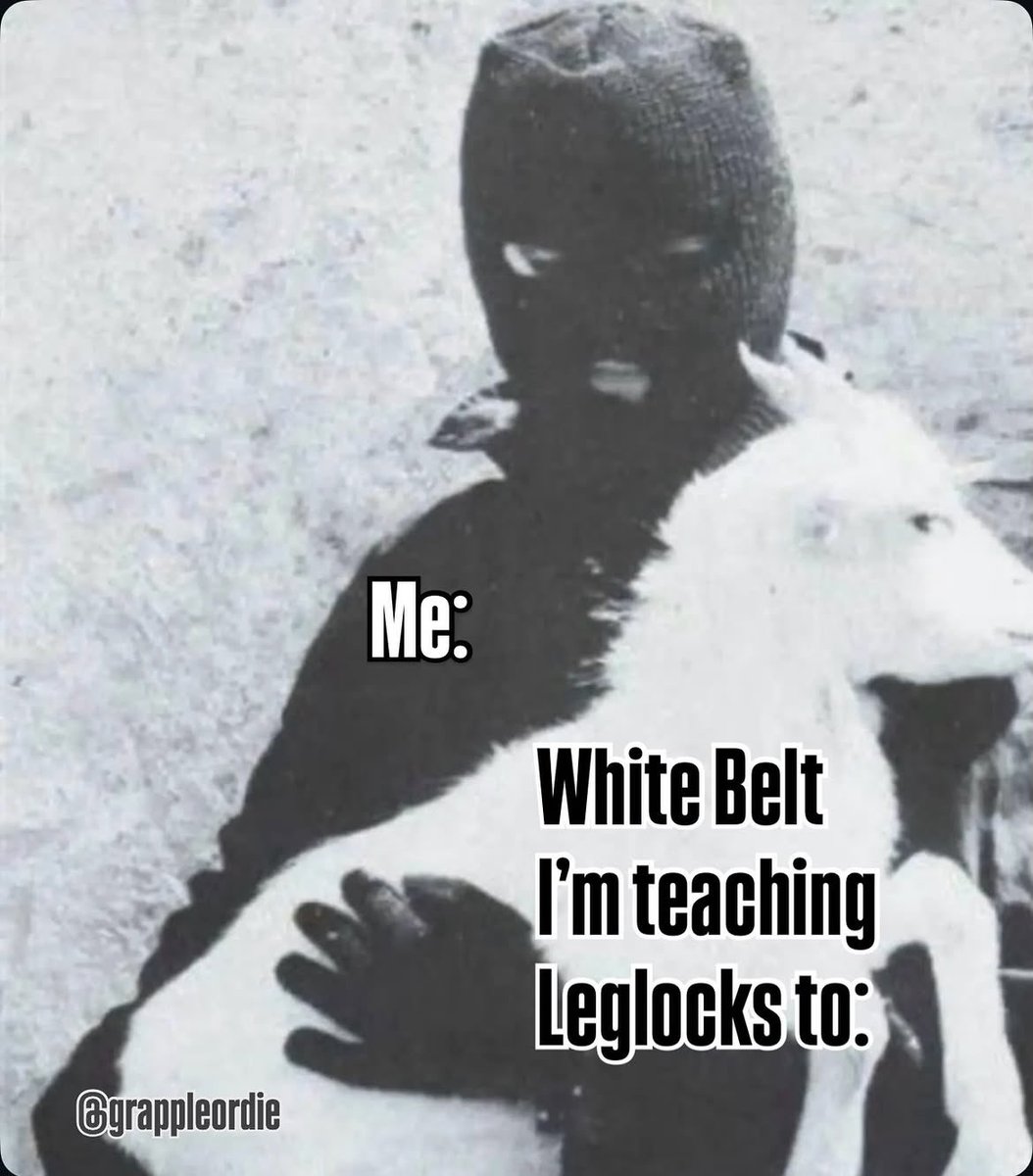JiujitsuOtter tweet picture