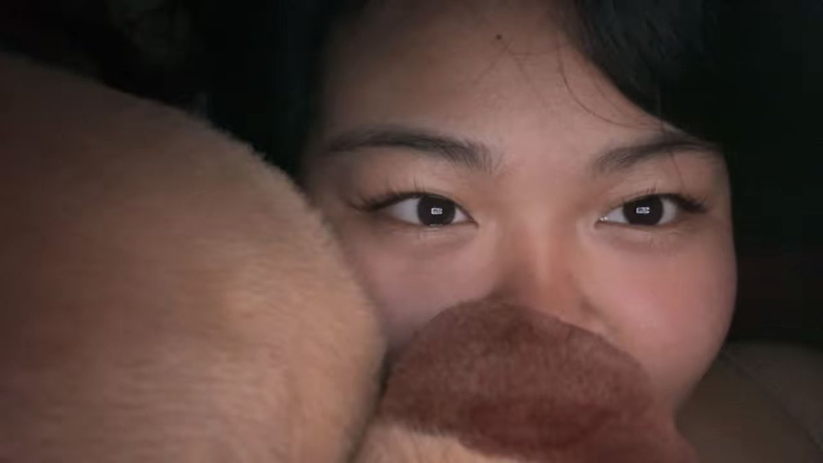 luvvniey's tweet photo. comel tak capybara ?? https://t.co/zJLHnoe56B