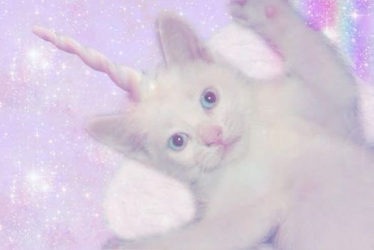 candy ♡ tweet media