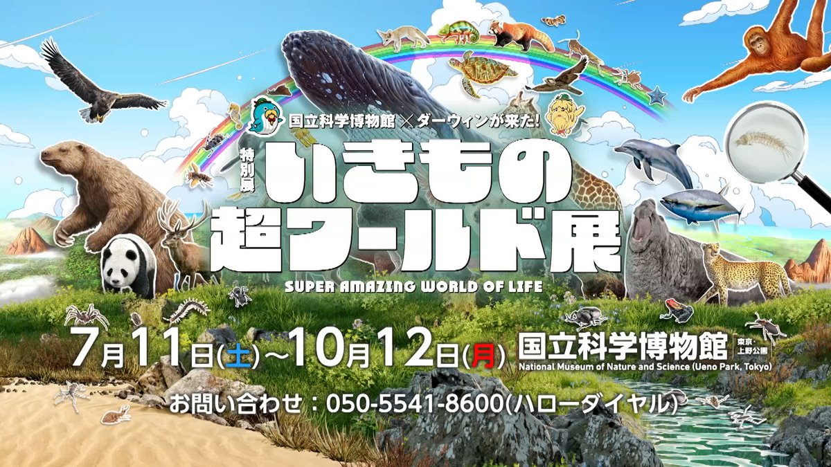 nhk_darwin's tweet photo. ＼寄ってらっしゃい！見てらっしゃい／

国立科学博物館×ダーウィンが来た！
https://t.co/CSLDhu2WQg

東京上野の国立科学博物館🏛️✨
特別展「いきもの超ワールド展」は🦇🐍🐟🌍
#ダーウィンが来た ！の映像も駆使して
生きものの適応進化や生存戦略を紹介！🔍✨

会期は１０月１２日まで📅 https://t.co/qznFk9CC7u