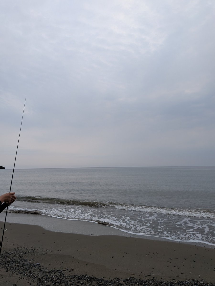 Run0623Run's tweet photo. 大漁🎣
#キス釣り https://t.co/jTm4oG8kmd