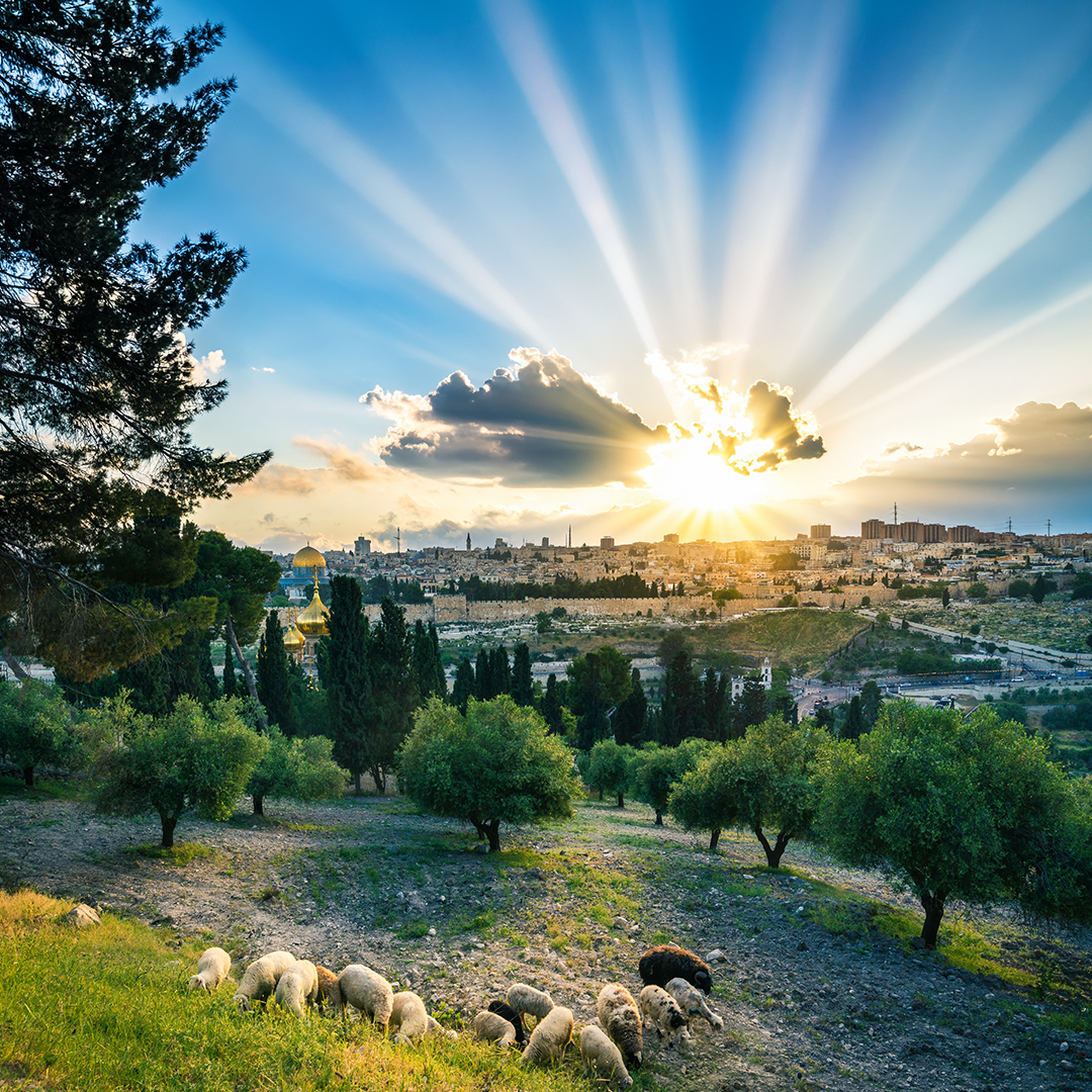 _friendsofzion's tweet photo. God is a Zionist

Opinion: It may surprise many to learn that the vast majority of Zionists in the world are not Jewish; Israel’s right to the land has been hallowed by history, by sacrifice, by prayer and by an unbroken yearning for peace

Read More: https://t.co/iw5ycuQzaB https://t.co/MjqUeCenQ7