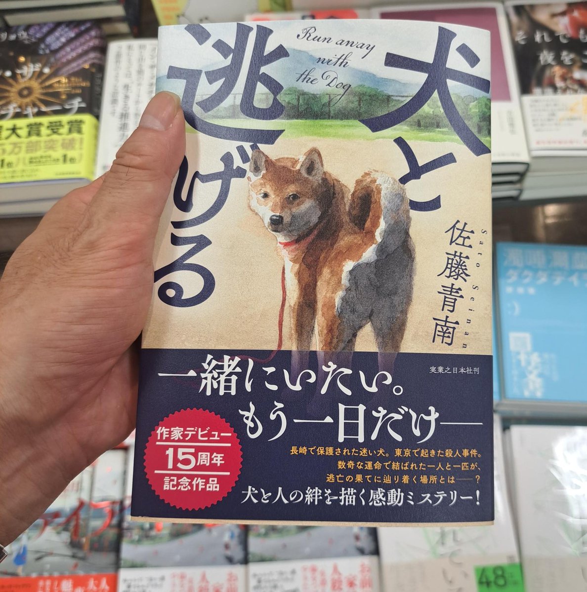 oosakadome_ms's tweet photo. おすすめ新刊
「犬と逃げる」佐藤青南/著
一緒にいたい。もう一日だけ――
犬と人の絆を描く感動ミステリー！

動物目線小説にとどまらず、しっかりとミステリーとしても成立していて、
読後にじんわりと温かさが残る一冊です。 https://t.co/Wx5GBHfvGD
