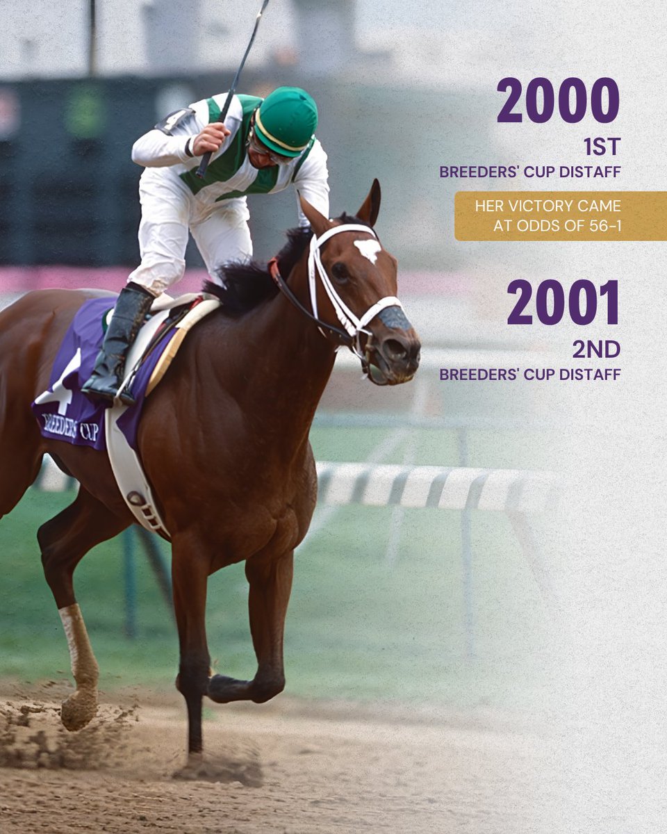 Breeders' Cup tweet media