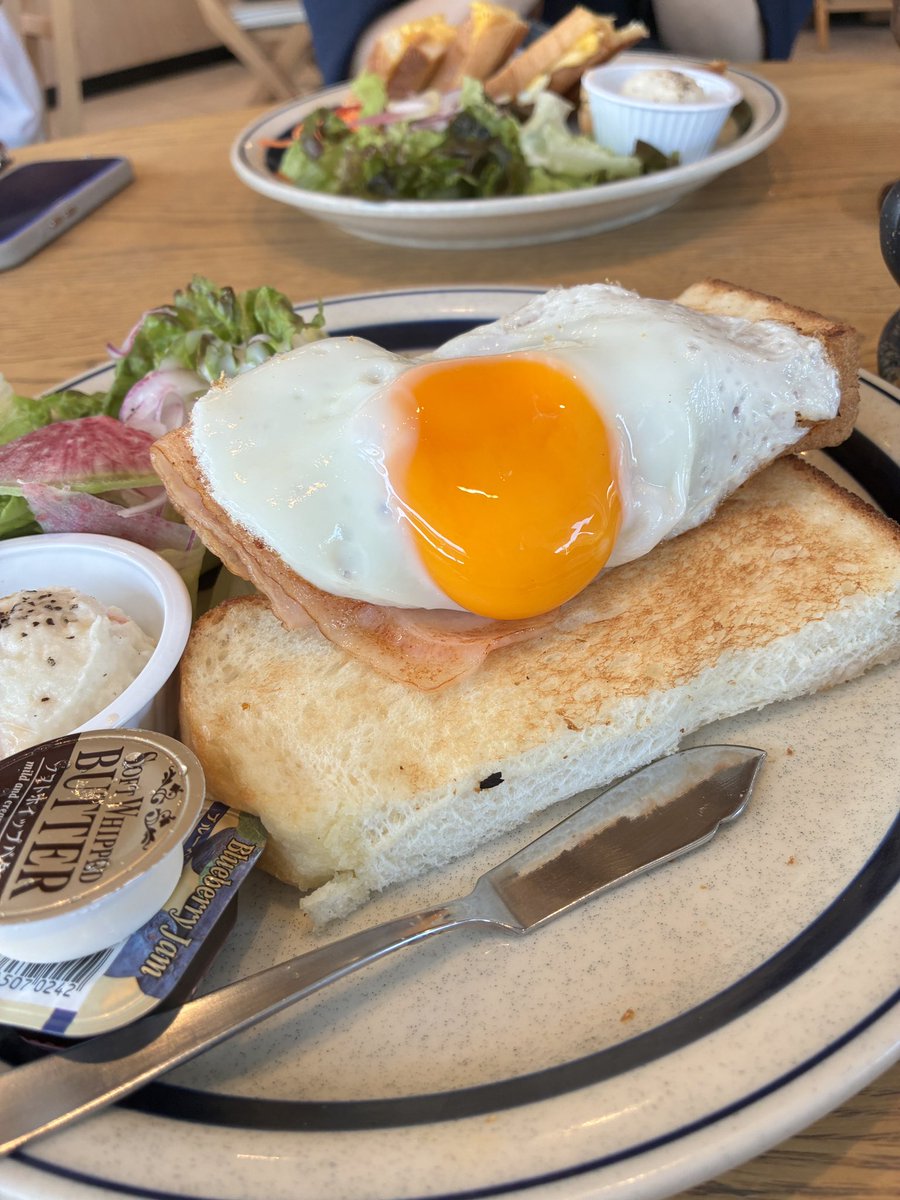 small_mousebass's tweet photo. 黄身が決壊寸前な朝です
おはようございます https://t.co/euuOeWGITl