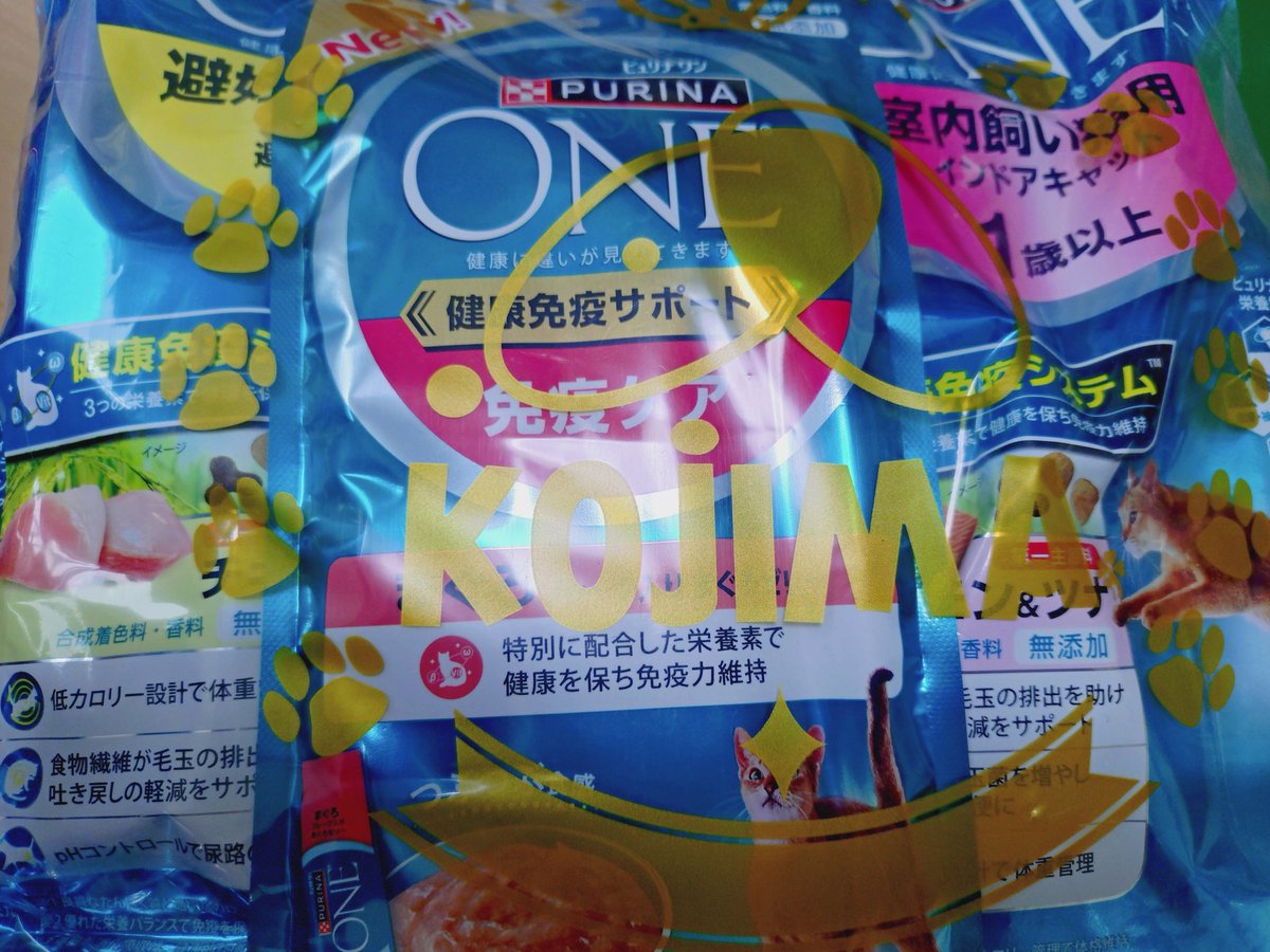 フードありがとうございます😺