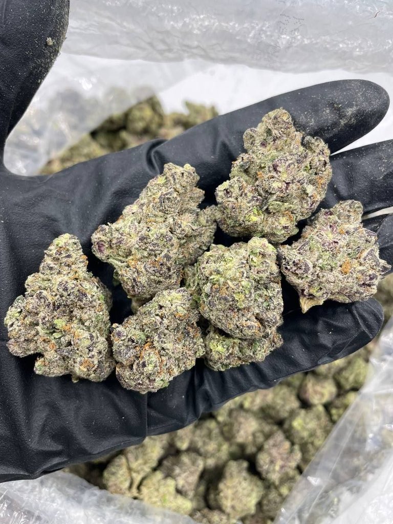 STONER ZION DISP tweet media
