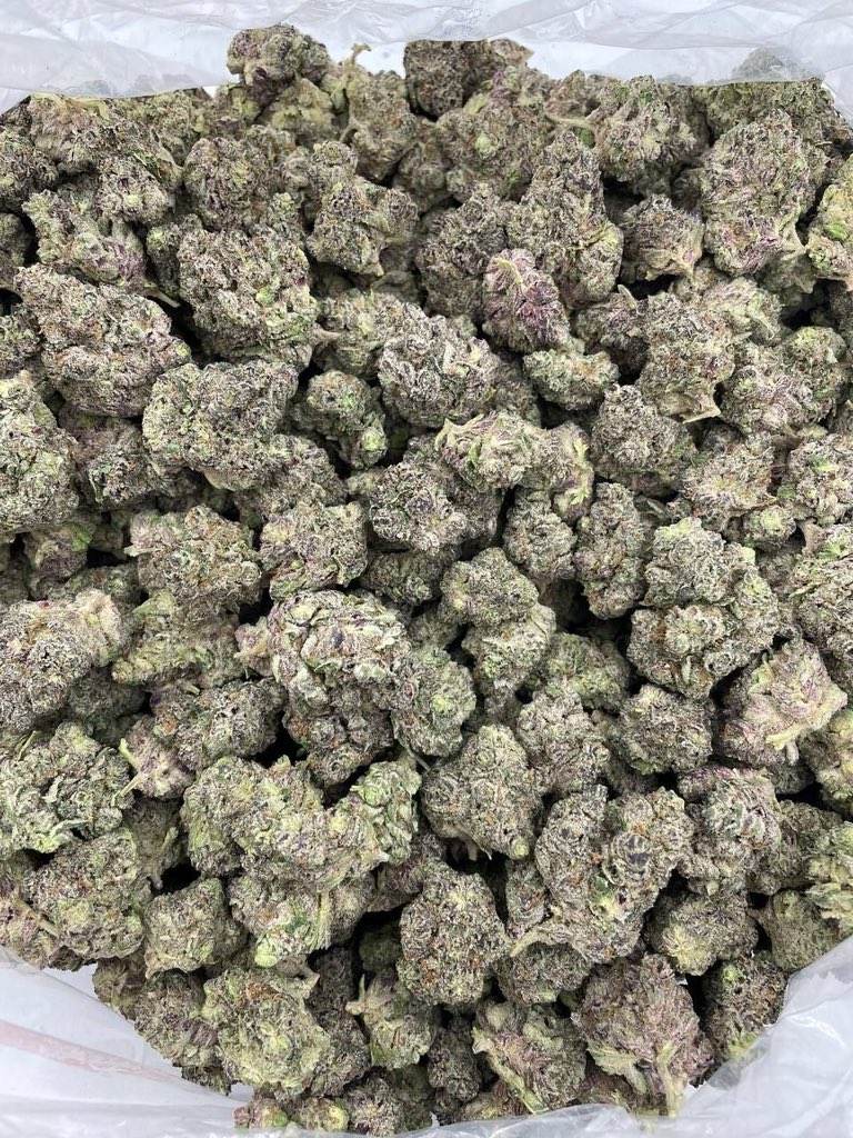 STONER ZION DISP tweet media