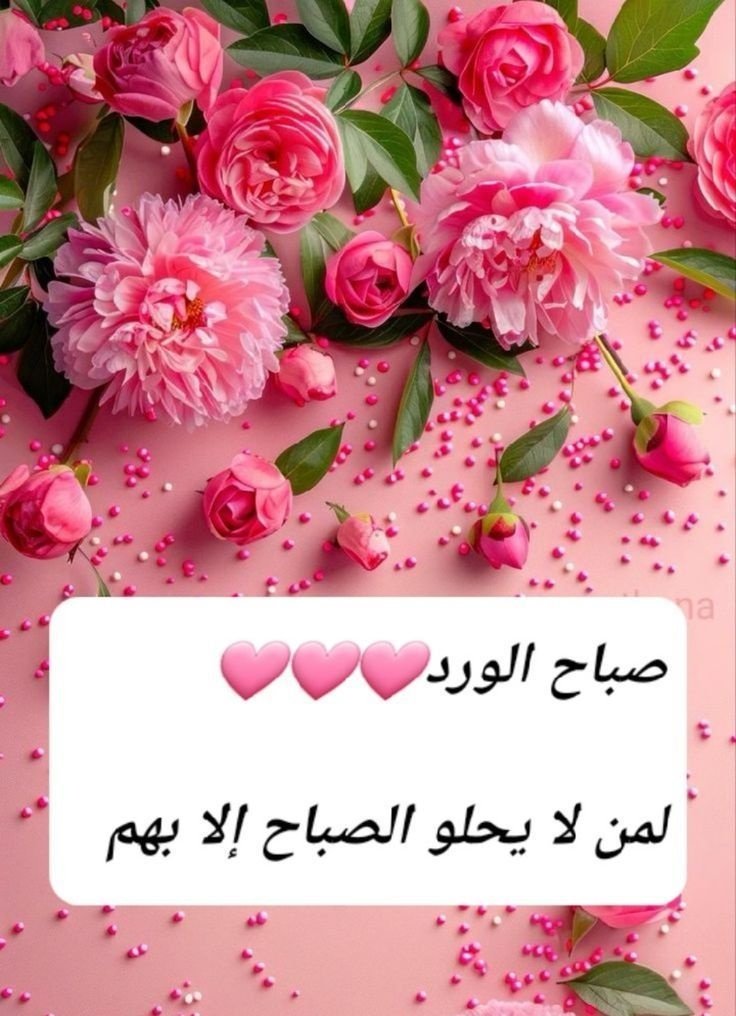 أناقة حرف حساب بديل tweet media