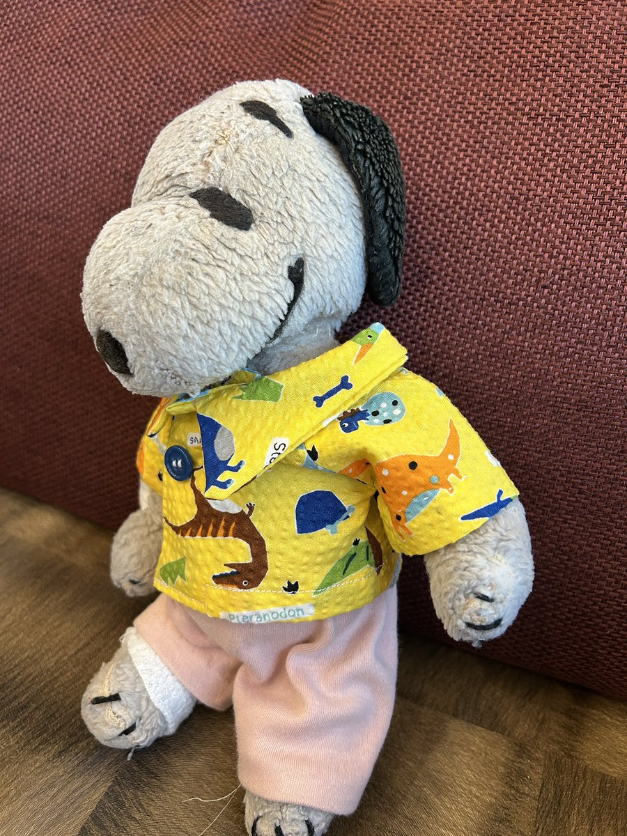 nihaonukun's tweet photo. おはようございます😃
昨日はご旅行で楽しかったな🌸
思い出のお写真見てるよ、、

今日は、お洗濯やお掃除を頑張るよ。
今日から三連休だからね3️⃣ https://t.co/ZyTSRH9Go9