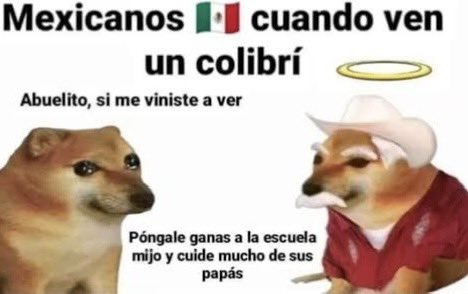 JorgeCoz1's tweet photo. Hace un rato vi un colibrí y me hizo recordar a mi abuelo que falleció hace poco lit me imaginé este meme https://t.co/zpFlvW0QbA