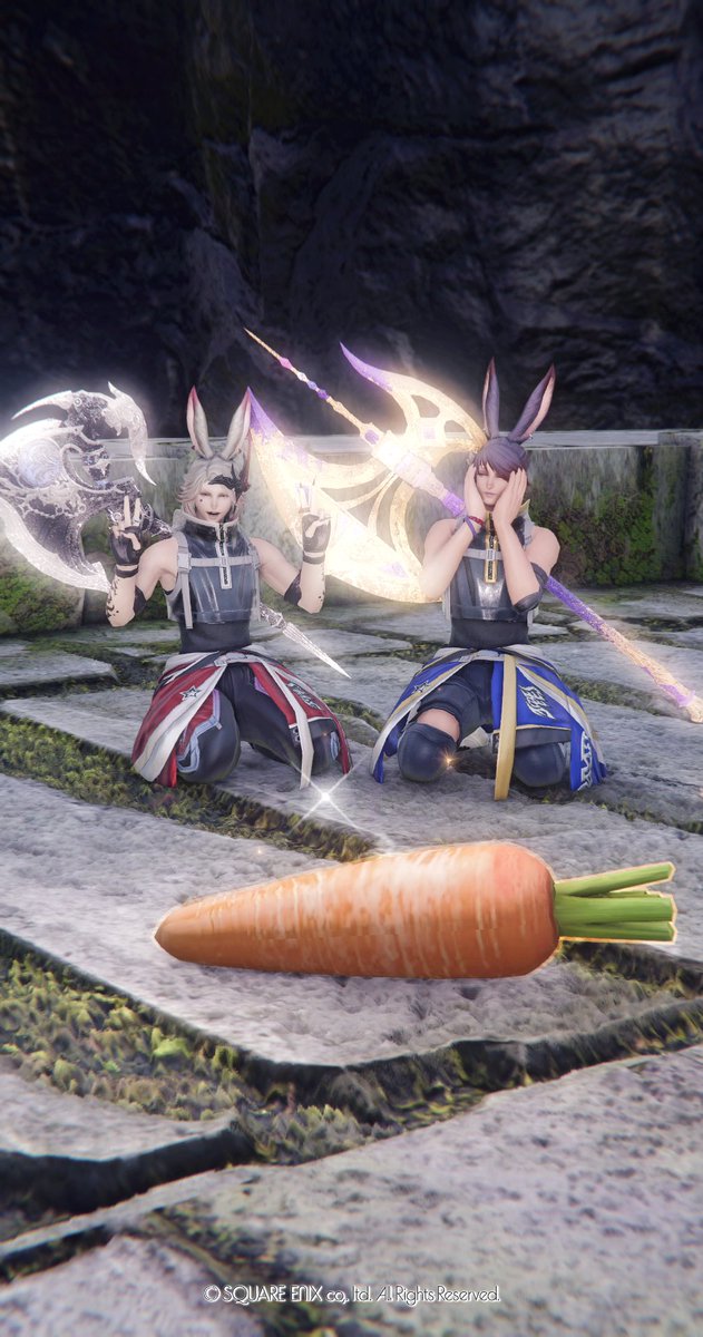 うさおページ おはうさぎ🥕 #FF14 #Viera #うさお #ヴィエラ #1顔うさおが見れるタグ