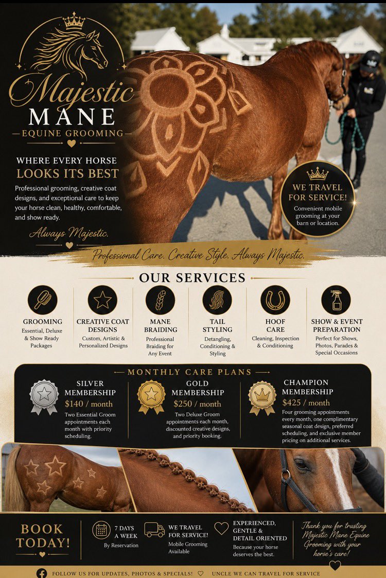 TheValorDark's tweet photo. Horse Grooming Upadate 2026🔥🔥

Tools needed 
Common sense (heavy on this)
Good FB TikTok or insta.(with good amount of followers).
Mail (not compulsory)
Ad sites (Craiglist, offer up, Nextdoor)
Read carefully.

Follow for more

Intellectual content of dark valor https://t.co/6coEESu2gY