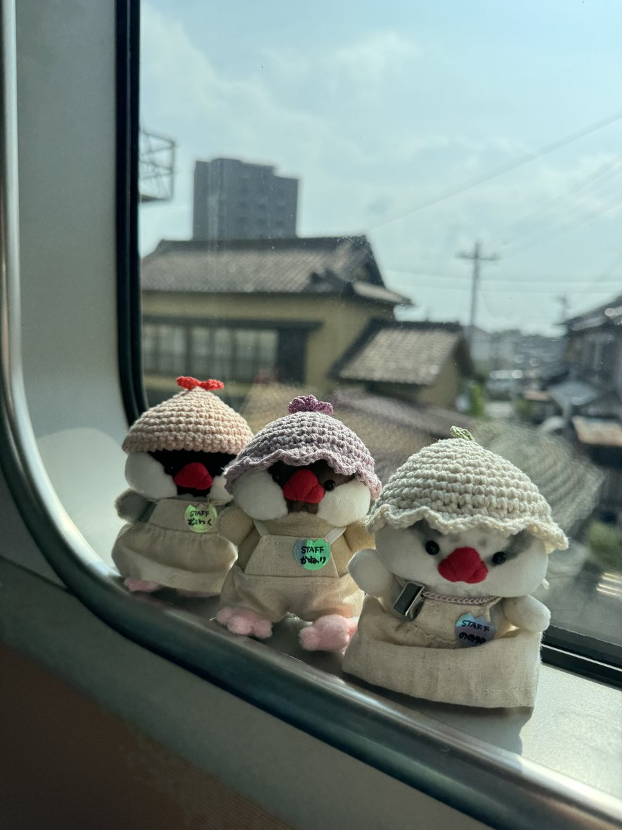 heina02327276's tweet photo. 尾張文鳥博へ、レッツゴー！ https://t.co/KM4cSSpOU2