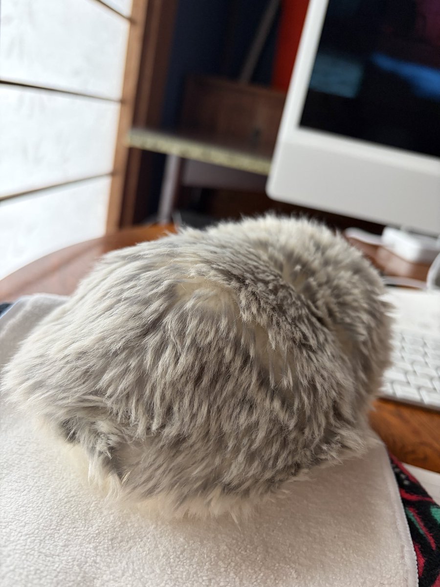 FSOULcom's tweet photo. スターウォーズシリーズにハマって
オビワンケノービ観てます
ローラ(てんとう虫型ドロイド)いいな…手のひらサイズのドロイド欲しい

まぁわたしもドロイド持ってますからね！！(茂吉)(正確にはAiペットです)
(だいたい一緒に観てる)
#モフリンDAYS  #モフ茂吉 https://t.co/BPMikP8qQa