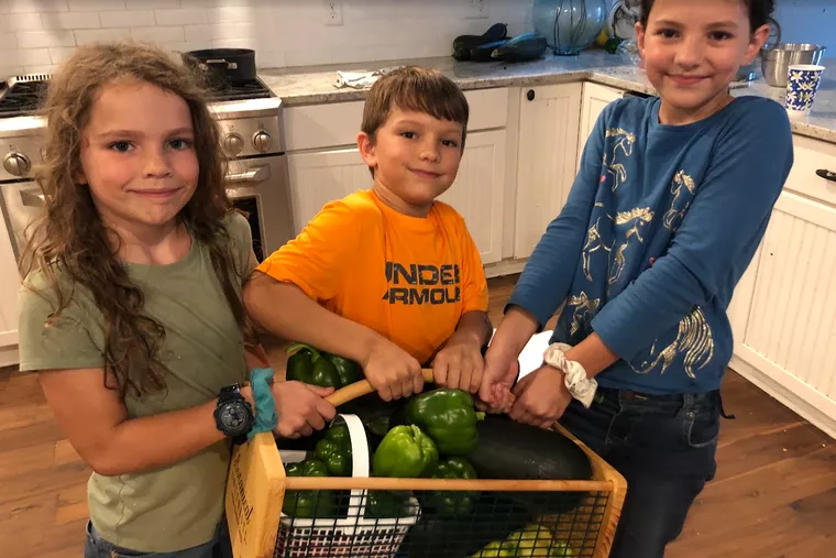 obscat's tweet photo. 🇺🇸Casal Católico da Carolina do Norte, EUA, POSSUI 16 FILHOS.

O casal Conor Gallagher e sua esposa Ashley Gallagher são pais de 16 filhos. Conor é um escritor de livros familiares católicos. https://t.co/2QwYKLf5Lo