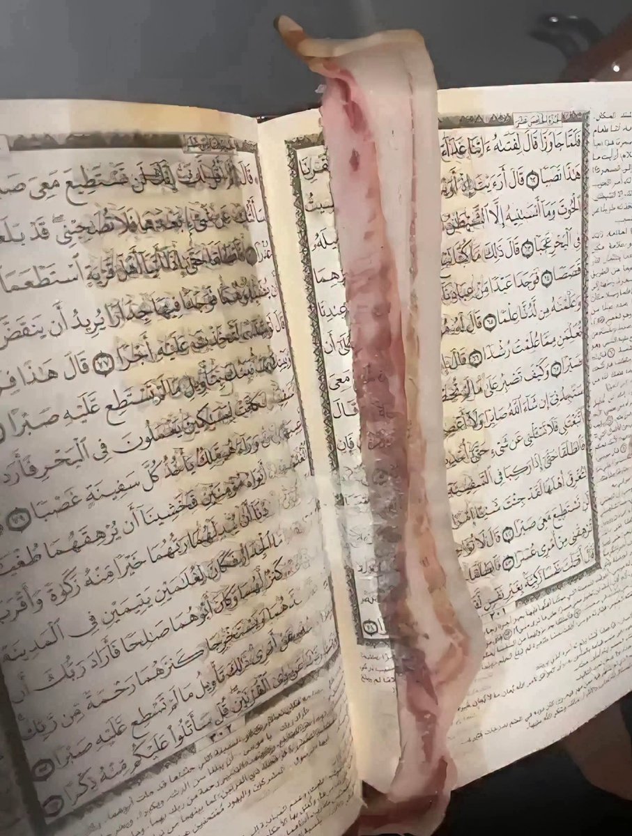 InfidelByChoice's tweet photo. @Iraniandutchie https://t.co/RAF0WQOkLe