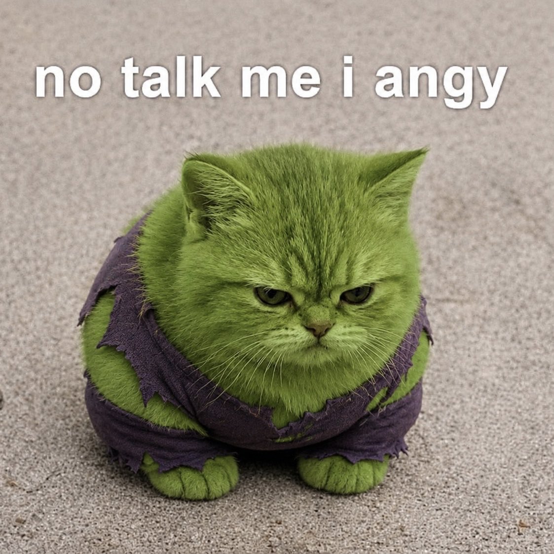 angy tweet media