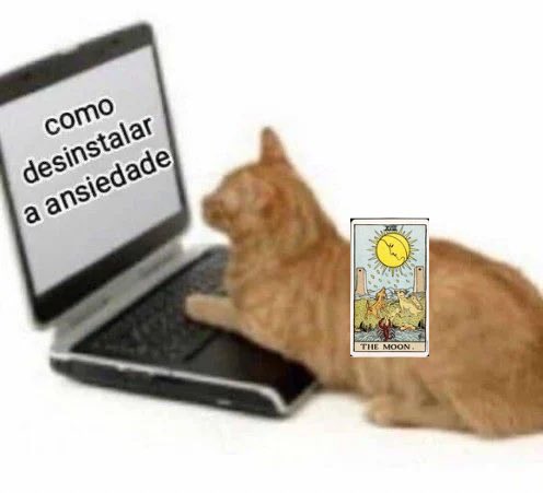 auracartas's tweet photo. Eis que você tem a lua de arcano pessoal https://t.co/Du0UX13Zkq