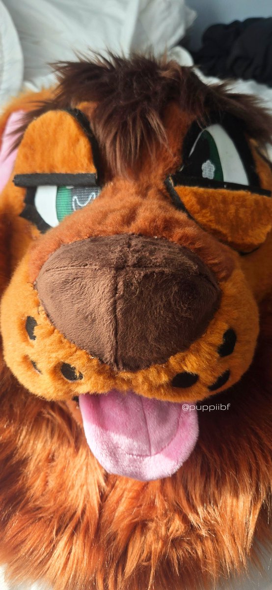 puppi ♂ 🔜 MEGAPLEX tweet media