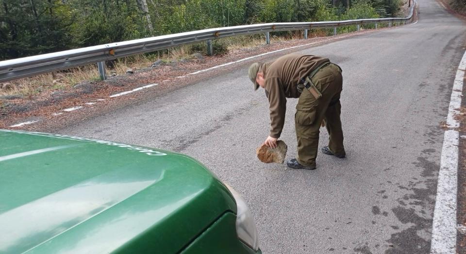 Carab_Aysen's tweet photo. 🚨#LagoVerde: Carabineros verifica el estado de la Ruta X-13 y caminos secundarios ante frente de mal tiempo que afecta a la zona.❄️🌧️
Si vas a viajar, recuerda:
✅Respeta el límite de velocidad
✅Usa cinturón de seguridad
✅Lleva y usa cadenas
✅Conduce a la defensiva. https://t.co/g0i6aig5LM